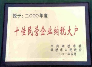 2001十佳民營企業(yè)納稅大戶